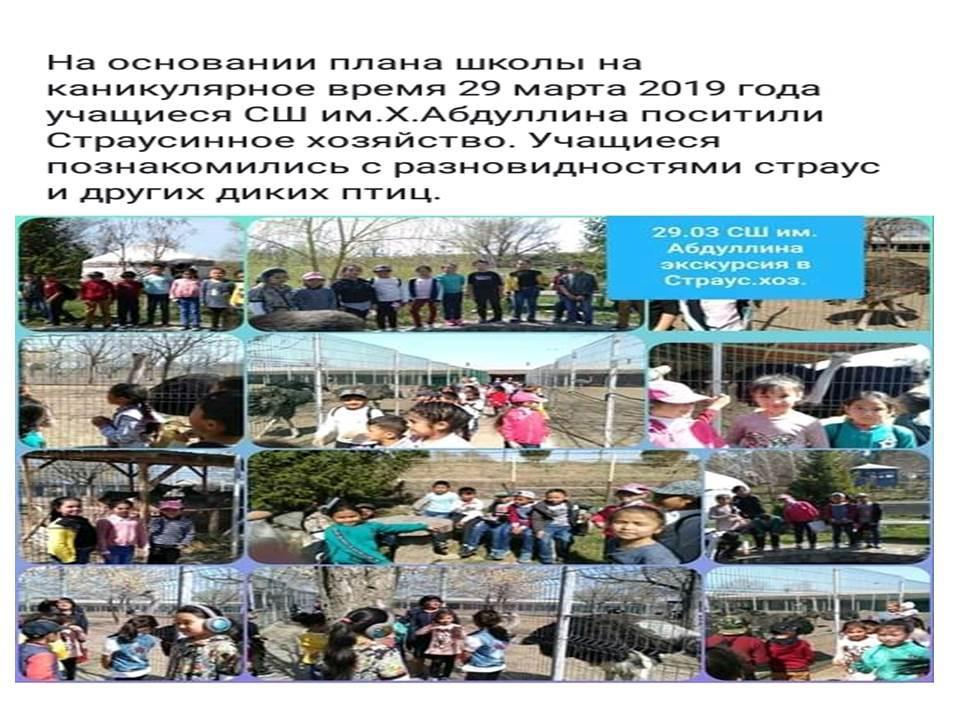 Поездка в страусинное хозяйство