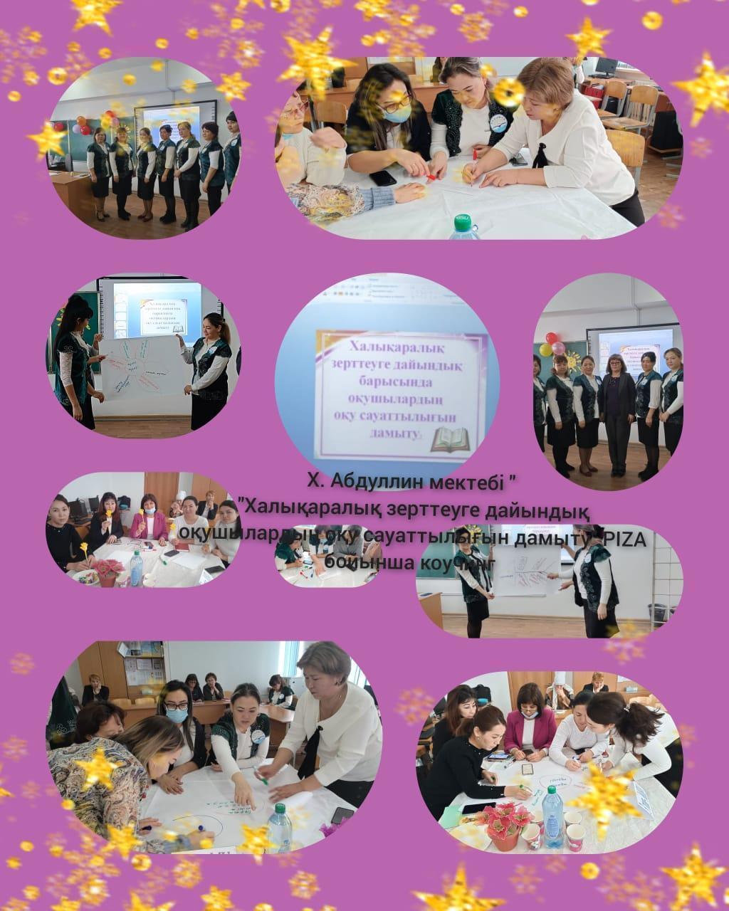 Халықаралық зерттеуге дайындық. Оқушылардың оқу сауаттылығын дамыту PISА бойынша коучинг