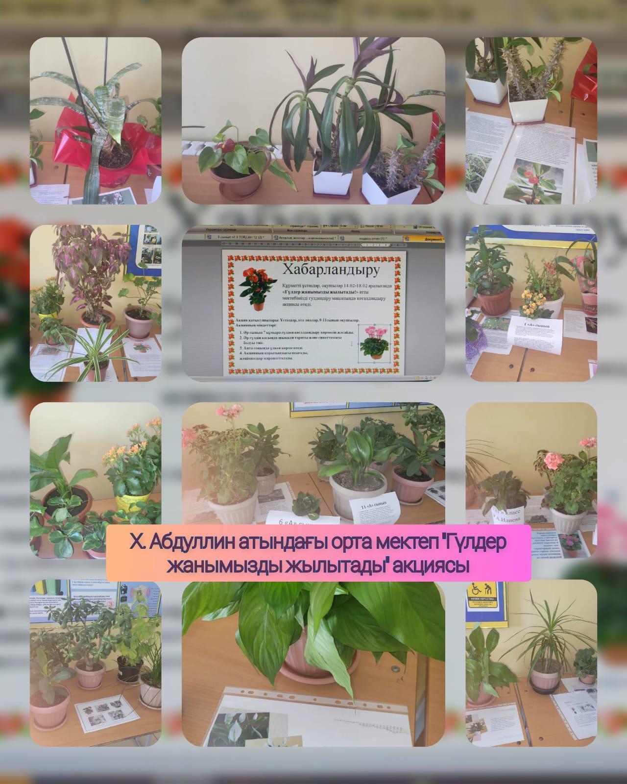 "Гүлдер жанымызды жылытады" атты мектепке гүл сыйла акциясы.